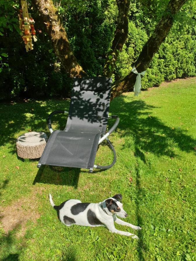 Agreable Chambre D'Hotes, Au Calme, Dans La Nature Roches Exteriör bild