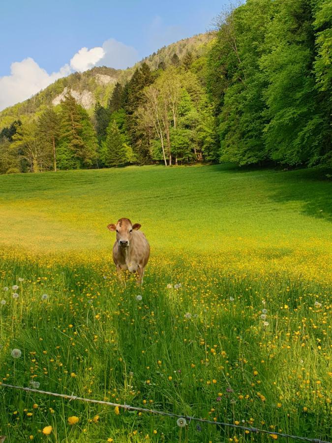 Agreable Chambre D'Hotes, Au Calme, Dans La Nature Roches Exteriör bild